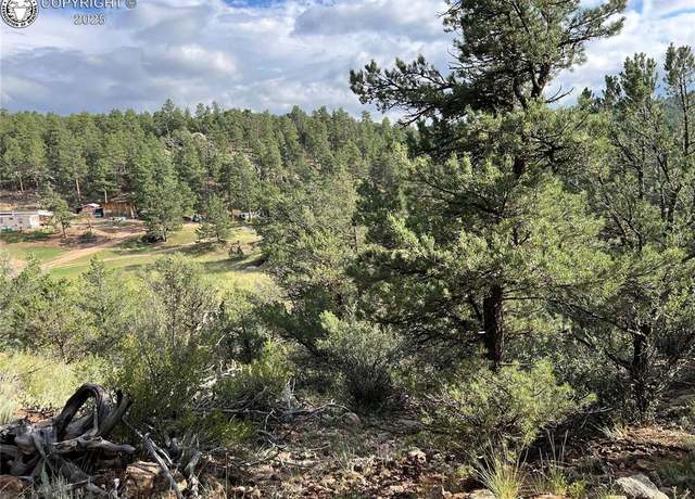Property at tbd CR 28 Rd, Cotopaxi, CO 81223