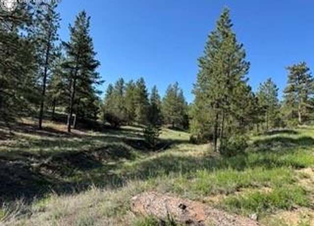 Property at 69 Coyote Run Rd, Cotopaxi, CO 81223