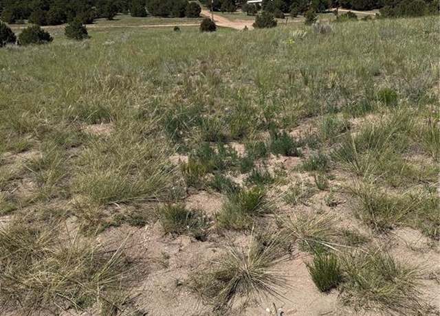 Property at 1739 17th Trl, Cotopaxi, CO 81223
