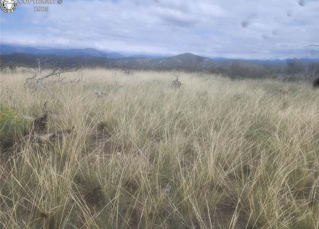 Property at 000 E Path, Cotopaxi, CO 81223
