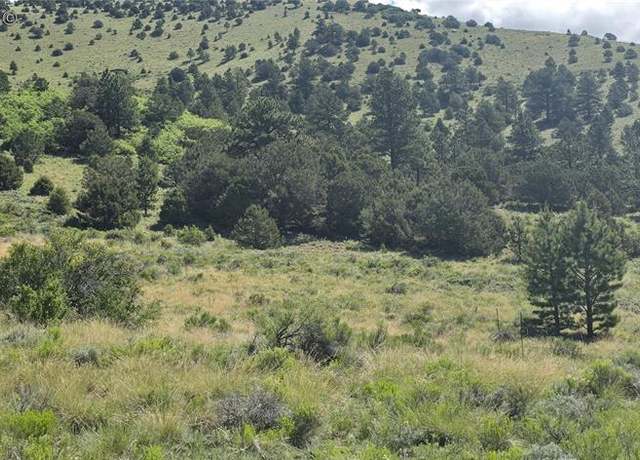 Property at Undisclosed address, Westcliffe, CO 81252