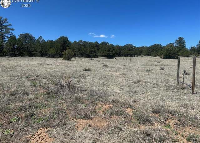 Property at TBD 35th Trl, Cotopaxi, CO 81223