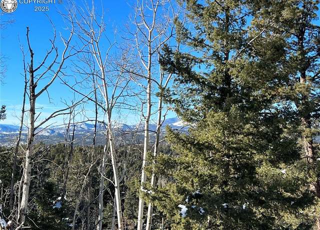 Property at 2369 Mountain Estates Rd, Florissant, CO 80816