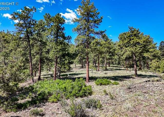 Property at 1875 S Tallahassee Trl, Canon City, CO 81212
