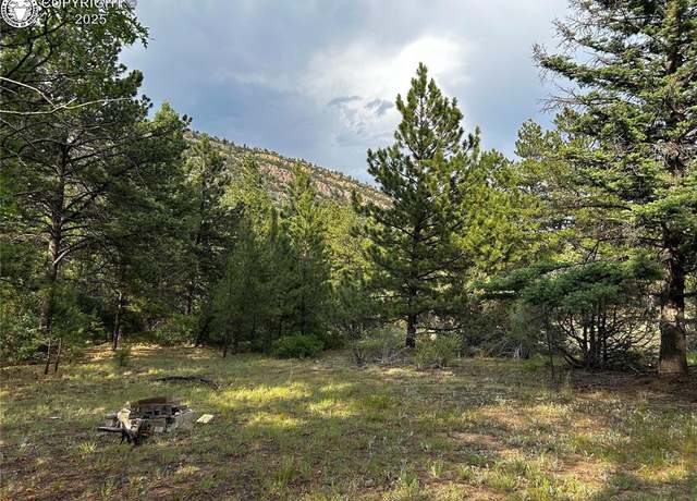 Property at 758 Basin Dr, Cotopaxi, CO 81223