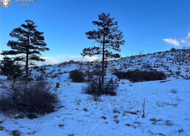 Property at 788 36th Trl, Cotopaxi, CO 81223
