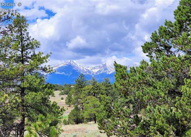 Property at Undisclosed address, Cotopaxi, CO 81223