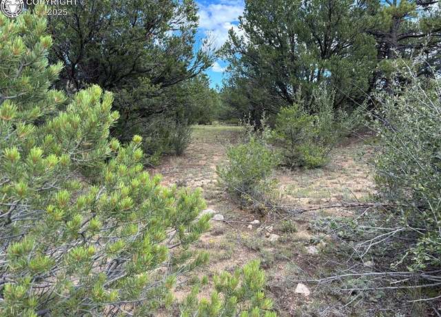 Property at 725 N Riggs Rd, Westcliffe, CO 81252