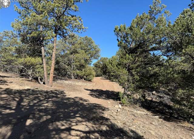 Property at 11th Trail I Path, Cotopaxi, CO 81223