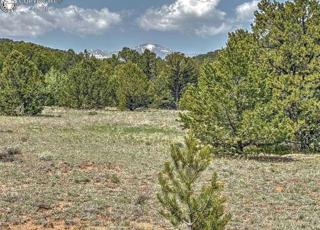 Property at Undisclosed address, Cotopaxi, CO 81223