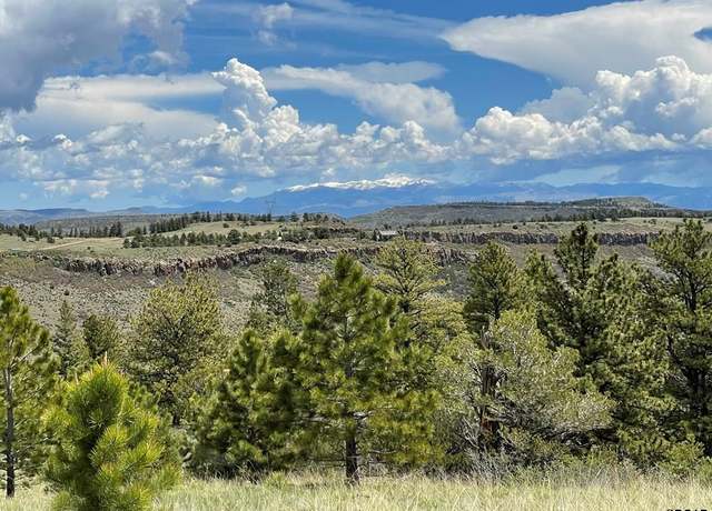 Property at TBD- L17 South T-bar Trl, Canon City, CO 81212