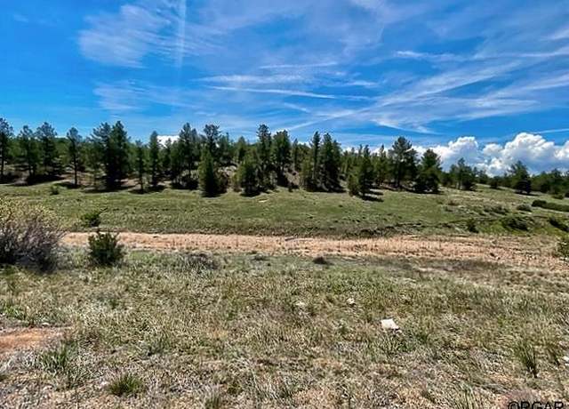 Property at 7080 Copper Gulch Rd, Cotopaxi, CO 81223