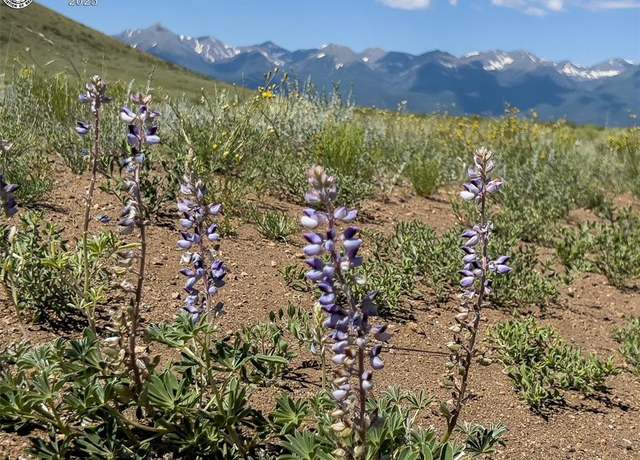 Property at TBD Lot 33 County Road 251, Westcliffe, CO 81252