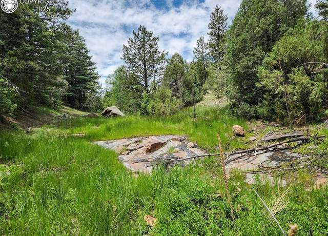 Property at 427 Upper Aspen Trail Rd, Westcliffe, CO 81252