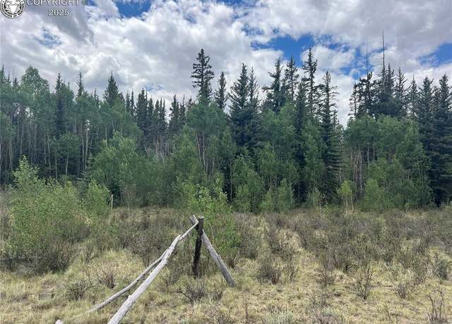 Property at 557 Rawhide Way, Jefferson, CO 80456