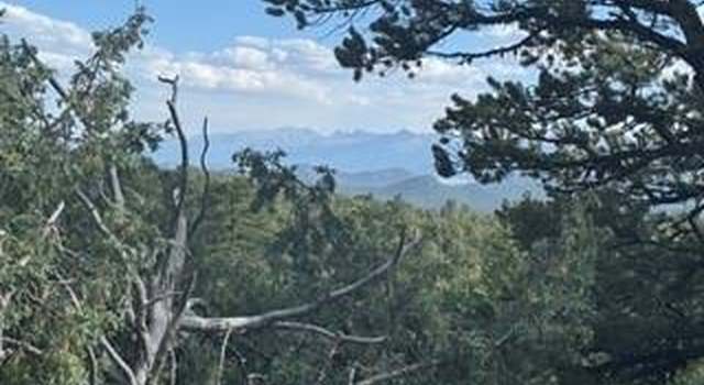 Photo of 61 Bird Dr, Cotopaxi, CO 81223