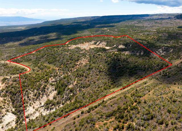 Property at LOTS 4,5,& 6 Elk Ranch Rd, Glade Park, CO 81523