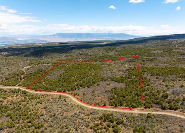 Property at Lot 16 Elk Reserve Rd, Glade Park, CO 81523