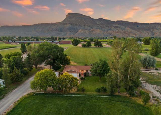Property at 3482 F Rd, Palisade, CO 81520, 4 beds, 3 baths