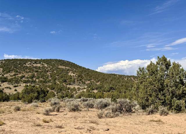 Property at TBD Horse Canyon Rd, De Beque, CO 81630