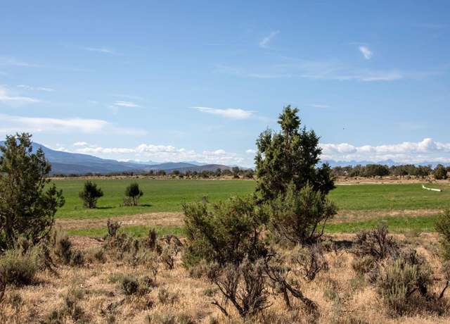 Property at TBD Track 13 Bostwick Park Rd, Montrose, CO 81401