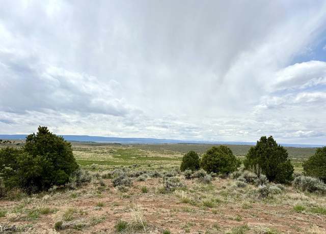 Property at 15451 Holloway Ln, Glade Park, CO 81523