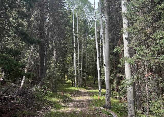 Property at 427 Juniper Dr, Cimarron, CO 81220