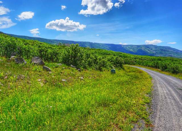 Property at (Parcel 6) TBD Highway 65, Mesa, CO 81643