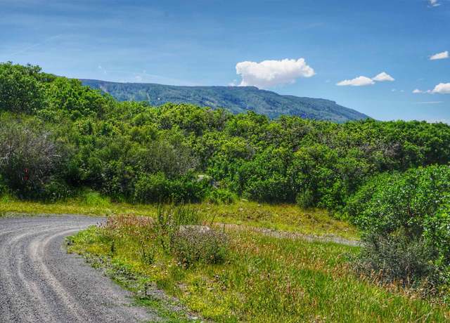 Property at (Parcel 7) TBD Highway 65, Mesa, CO 81643
