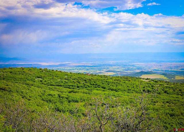 Property at Highway 65, Cedaredge, CO 81413