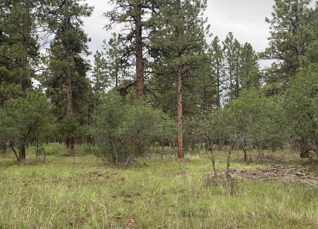 Property at Lot 430 S Badger Trl Lot 430, Ridgway, CO 81432