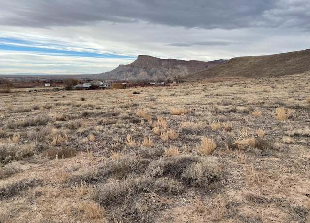 Property at TBD 36 3/4 Rd, Palisade, CO 81526