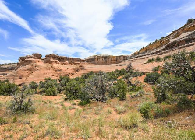 Property at 1347 I 1/2 Rd, Fruita, CO 81521