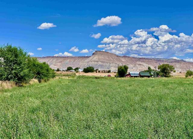Property at 3429 D Rd, Palisade, CO 81526