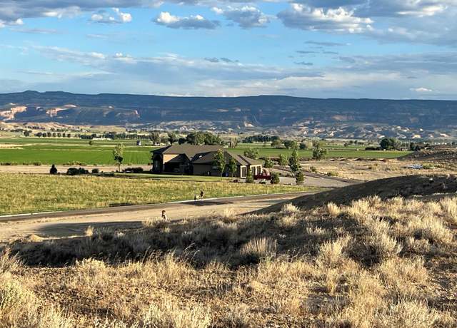 Property at 1676 White Falcon Ct, Loma, CO 81524