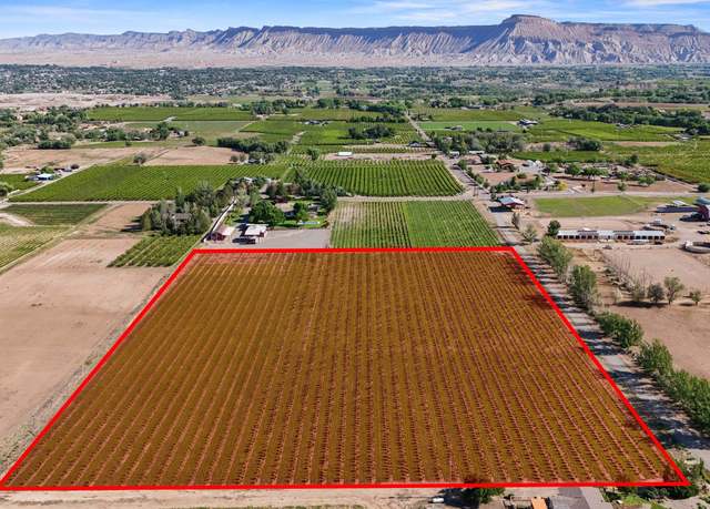 Property at 3343 C Rd, Palisade, CO 81526