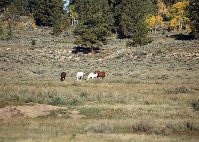 Property at TBD Divide Rd Unit Louie Pasture, Whitewater, CO 81527