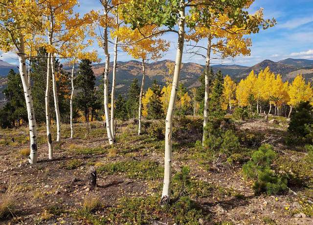 Property at TBD Miners Candle Rd, Idaho Springs, CO 80452