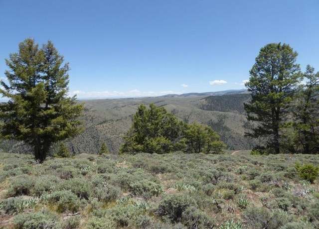 Property at 678 Mosquito Trl, Powderhorn, CO 81243