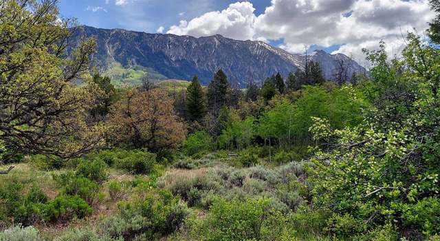 Photo of TBD Highway 133, Somerset, CO 81434