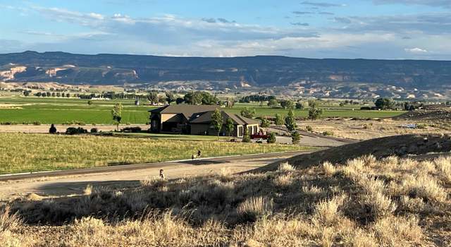 Photo of 1676 White Falcon Ct, Loma, CO 81524