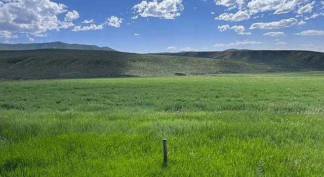 Photo of 3719 County Road 45, Hamilton, CO 81638