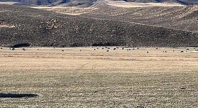 Photo of 3719 County Road 45, Hamilton, CO 81638