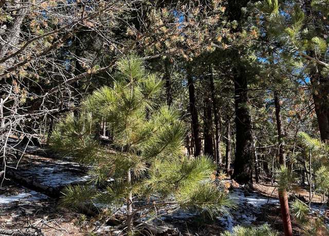 Property at 123 Canyon Trl, Cloudcroft, NM 88317