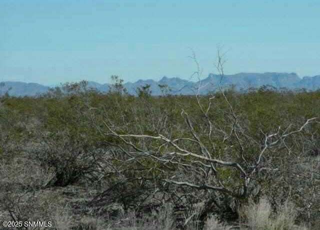 Property at 21 Calle DE Ranchos Rd, Williamsburg, NM 87942