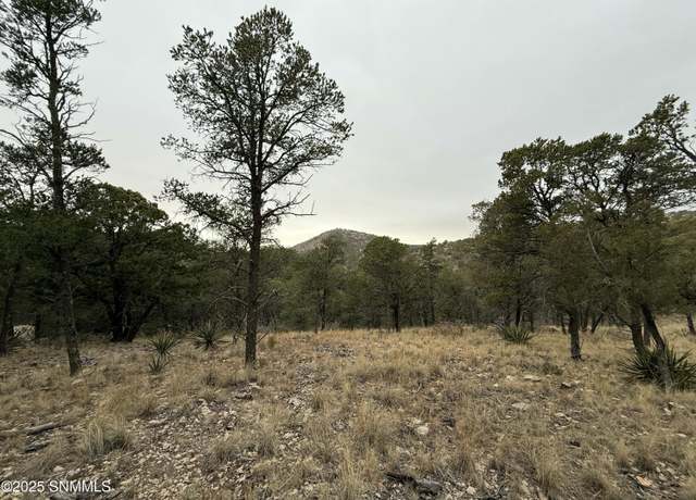Property at 22 Harvest Rd, Timberon, NM 88350