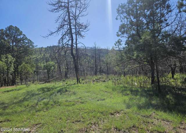 Property at TBD Homestead Hts Unit 6,7, 9, 10, Ruidoso, NM 88345