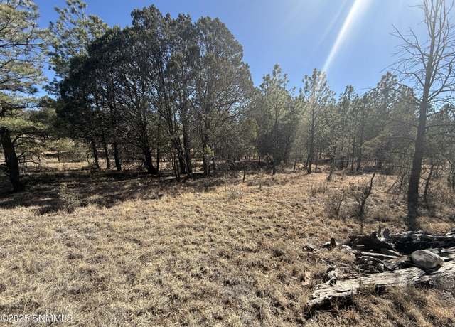 Property at TBD El Dorado Dr, Timberon, NM 88350