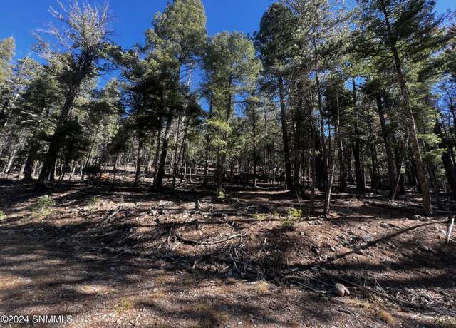 Property at 42 Forest View Dr, Cloudcroft, NM 88317