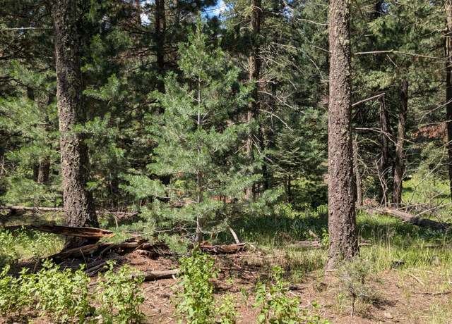 Property at TBA Heather Way, Cloudcroft, NM 88317